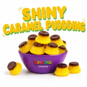 SHINY CARAMEL PUDDDING